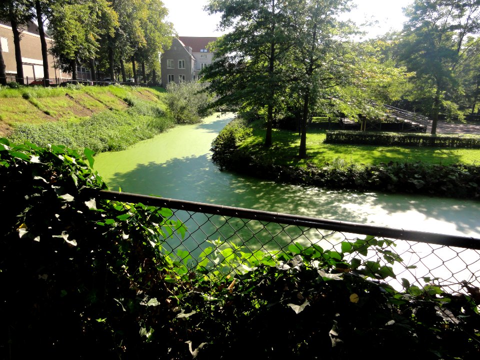 Ravenstein Rijksmonument 32375 gracht bij Wal, Maasdijk, Lombardstraat (oever)