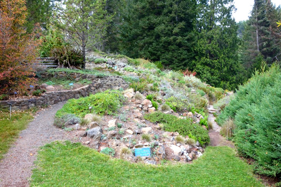 Regional Parks Botanic Garden - Berkeley, CA - DSC04522