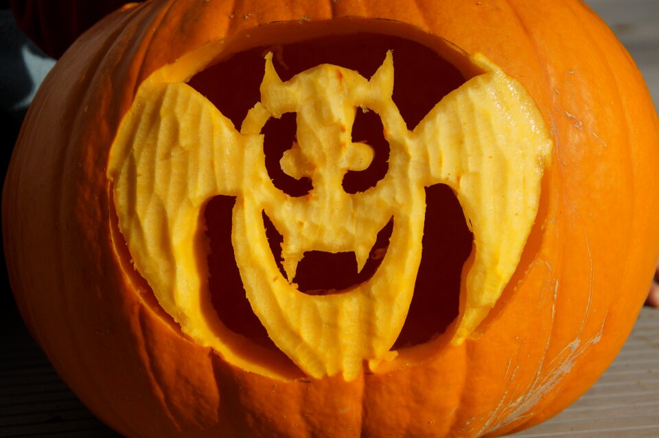 Pumpkin ghost carved art