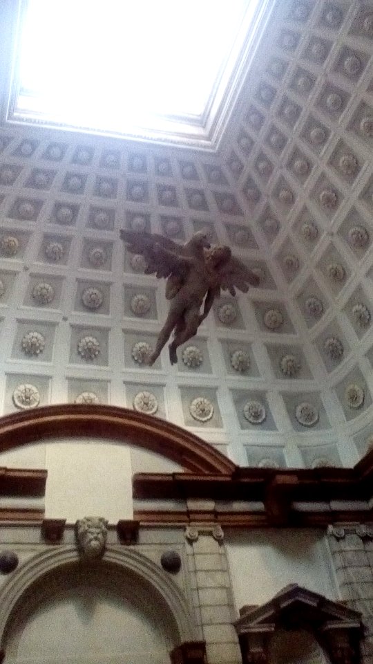 Ratto di Ganimede