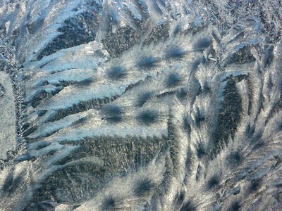 Winter coldly winter pattern