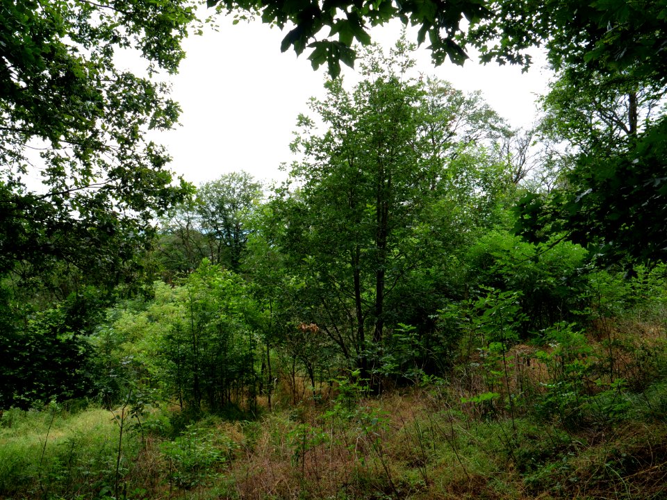 Rauschenberg Fulda 2019-07-14 46