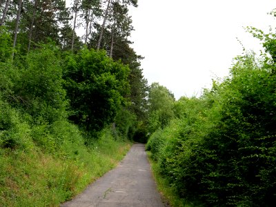 Rauschenberg Fulda 2019-07-14 01
