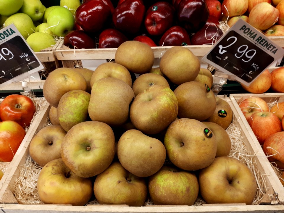 Reinette Grise du Canada apples 2017 A1