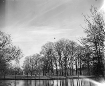Reigerskolonie in het Vondelpark overzicht, Bestanddeelnr 902-6828