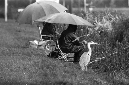 Reiger bij 2 vissers onder paraplu, Bestanddeelnr 929-9228