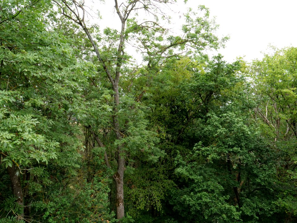 Rauschenberg Fulda 2019-07-14 36