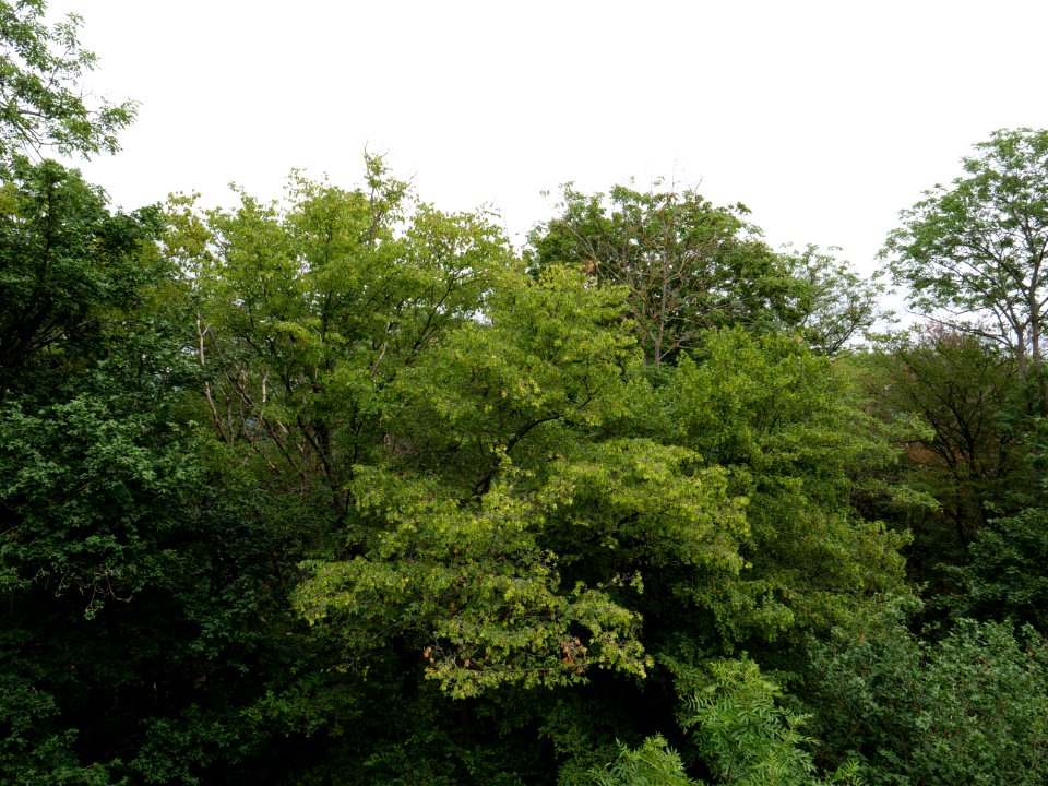 Rauschenberg Fulda 2019-07-14 34