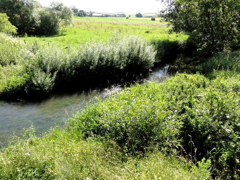 Reherrey (M-et-M) la Verdurette (03)
