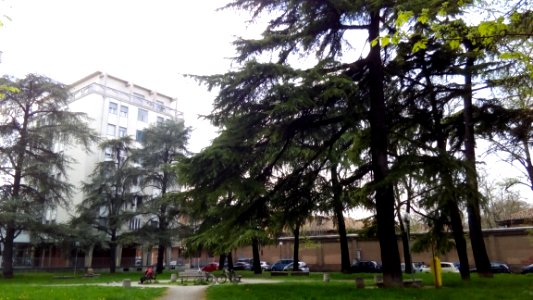 ReggiooEmilia 56