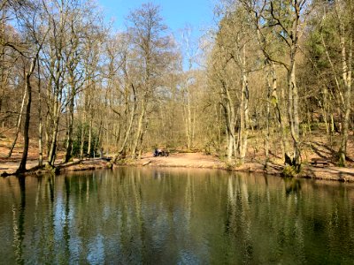 Reichenbach, Forellenweiher (1)