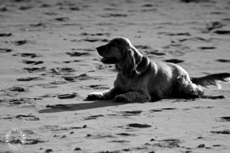 Relax (194315421)