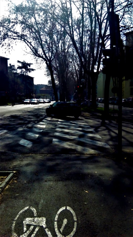 ReggioEMILIA 334