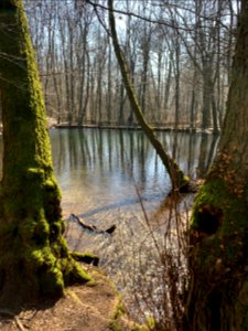 Reichenbach, Forellenweiher (2)