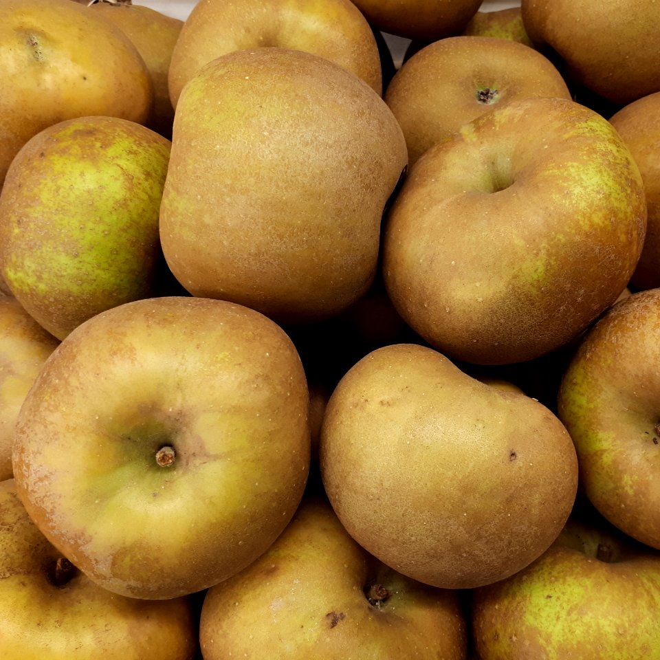 Reinette Grise du Canada apples 2017 A3