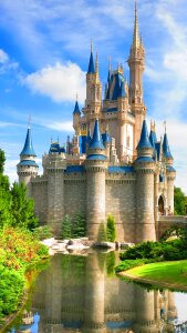 Disney world magic kingdom florida photo