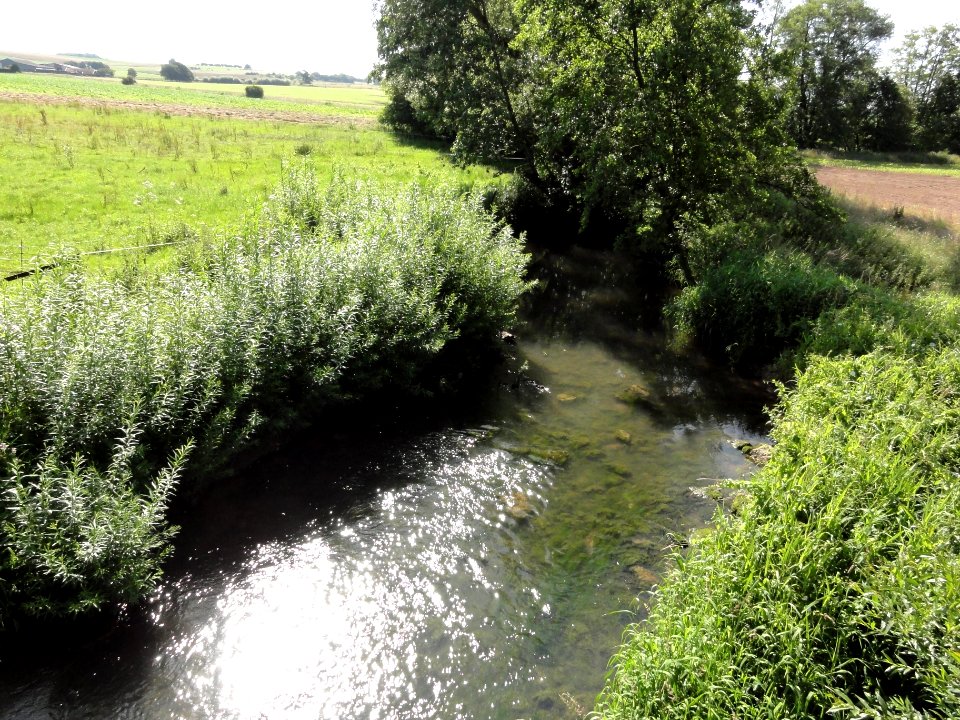 Reherrey (M-et-M) la Verdurette (02)