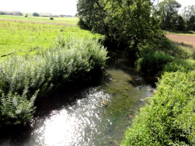 Reherrey (M-et-M) la Verdurette (02)