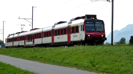 Regionalps NPZ Domino