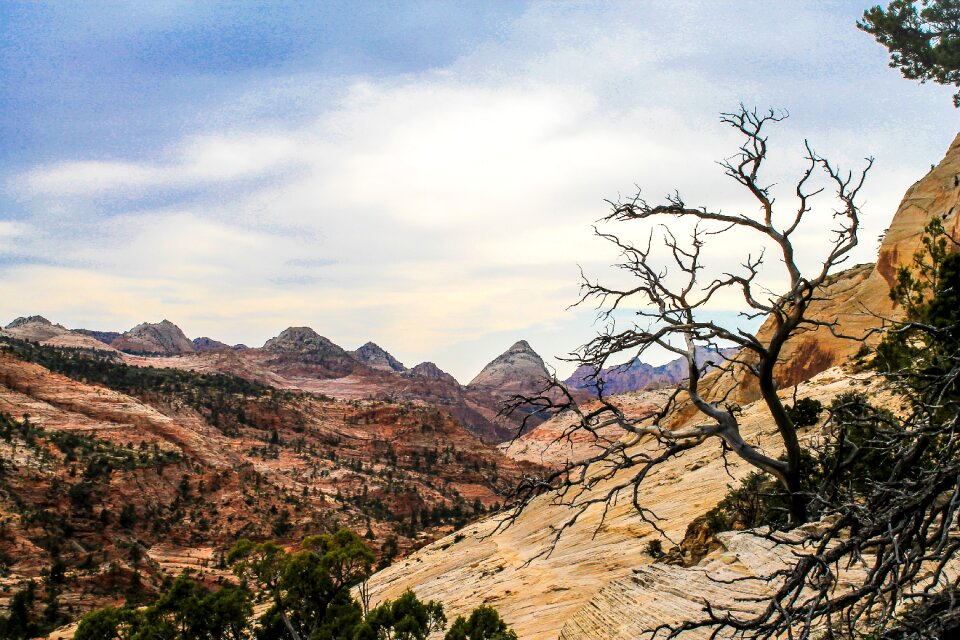 Park nature national