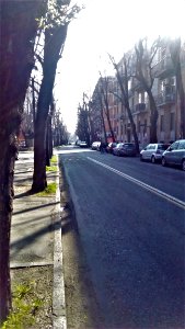 ReggioEMILIA 339