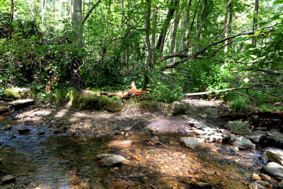 Reichenbach Taunus 2020-08-18 01
