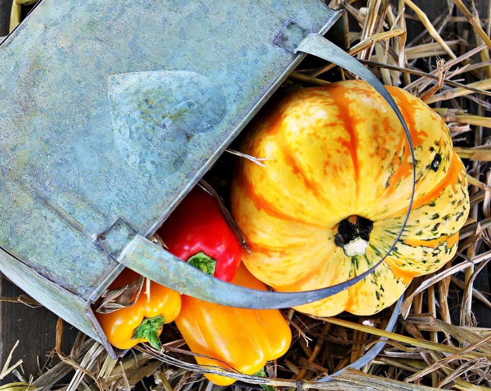 Autumn autumn decoration decoration