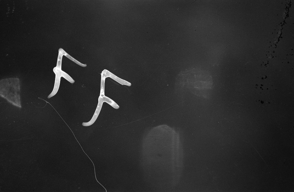 Registratienegatief code FF, Bestanddeelnr 451-4-4