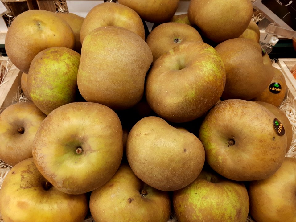 Reinette Grise du Canada apples 2017 A2