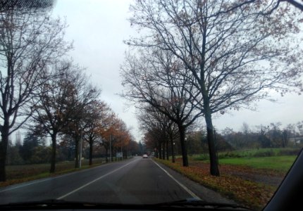 ReggioEmilia68
