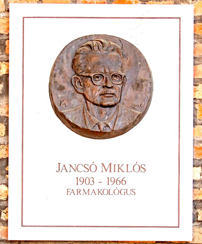 Relief of Miklós Jancsó, pharmacologist, in the Szeged Pantheon