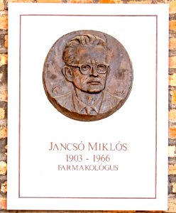 Relief of Miklós Jancsó, pharmacologist, in the Szeged Pantheon
