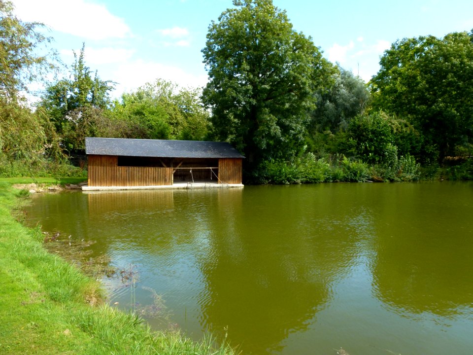 Remaucourt (Ardennes) étang de la rue du Lavoir