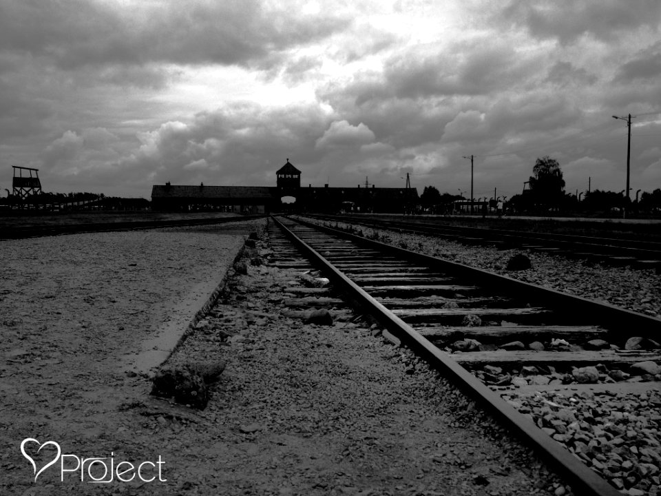 Remember The History (219576857)