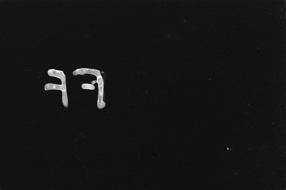 Registratienegatief code FF, Bestanddeelnr 447-4-6