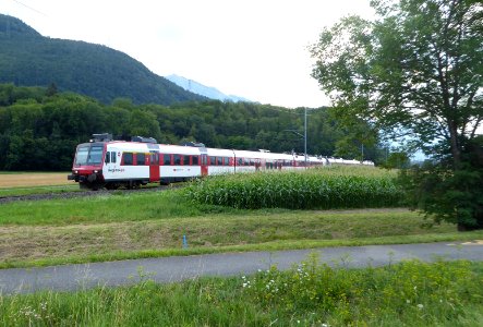 Regionalps Domino