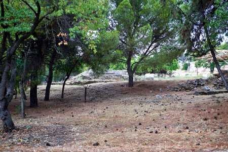 Remains of the Temple of Cronus and Rhea in Athens on August 8, 2020