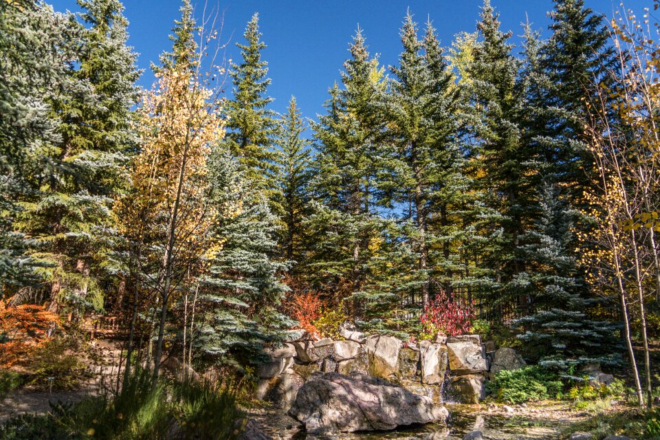 Nature usa travel