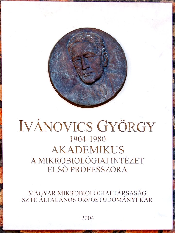 Relief of György Ivánovics in the Szeged Pantheon