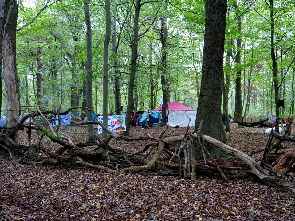 Re-occupation village in the Hambach forest 03