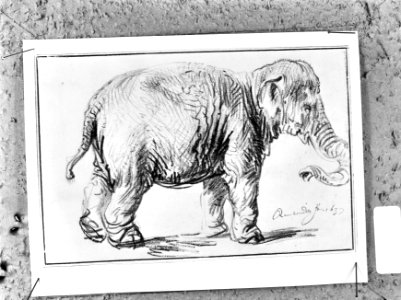 Rembrandt 1669-1969 tentoonstelling te Amsterdam 13 september tot 30 november sc, Bestanddeelnr 922-3232