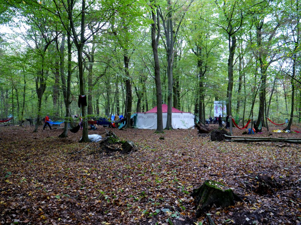 Re-occupation village in the Hambach forest 01