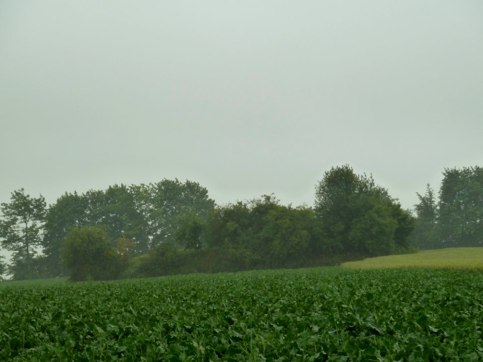 Remicourt-Tumulus van Hoedeige (2)