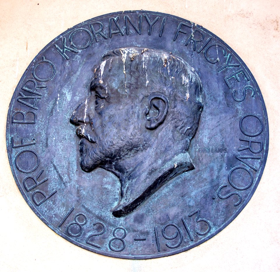 Relief of Frigyes Korányi in the Szeged Pantheon