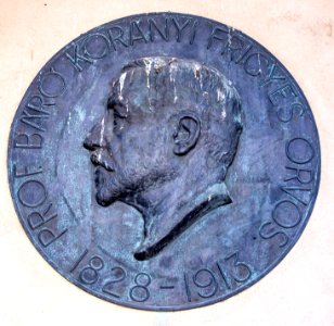Relief of Frigyes Korányi in the Szeged Pantheon photo