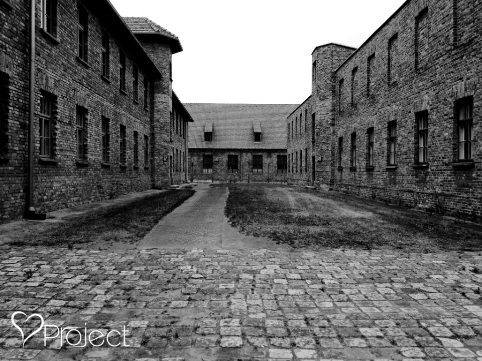 Remember The History (219576767)