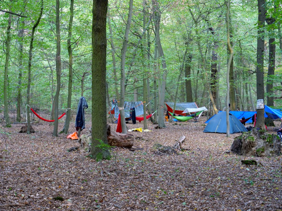 Re-occupation village in the Hambach forest 06