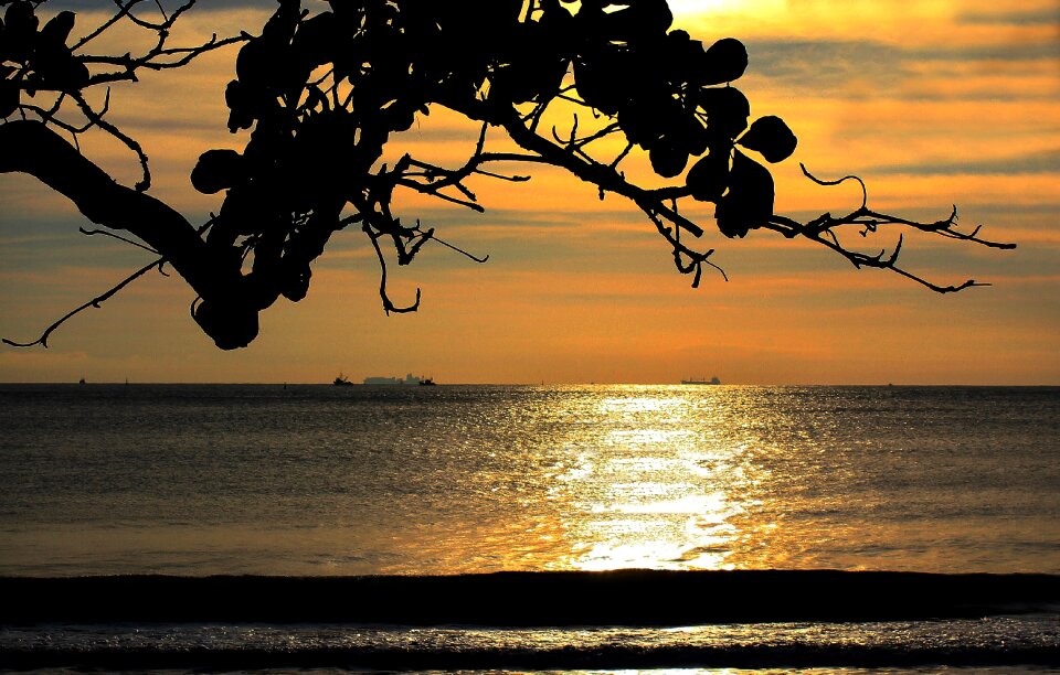 Peace orla landscape