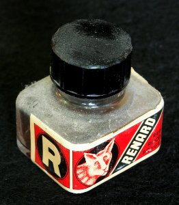 Renard rood, inktpotje, foto1
