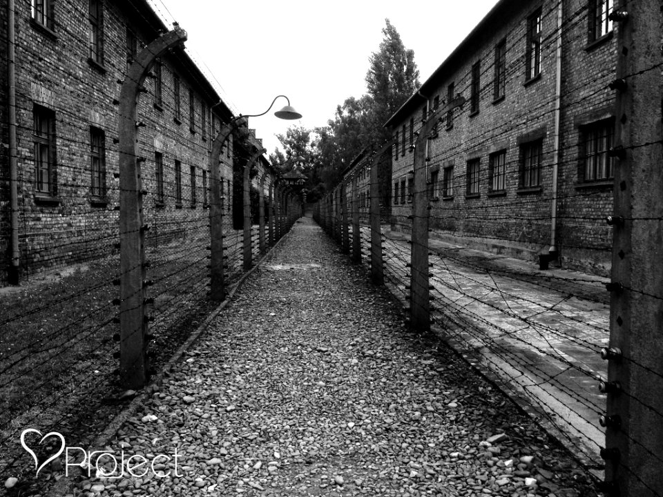 Remember The History (219576855)